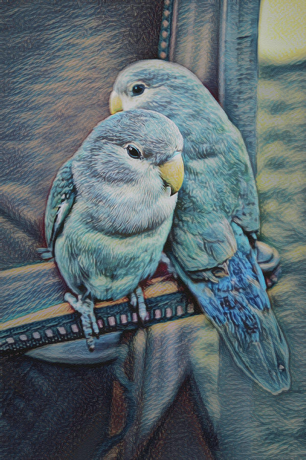 Bird Digital Art - Lovebirds by Ernest Echols