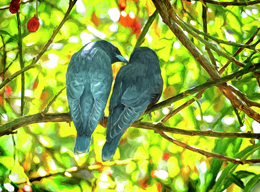 Bird Digital Art - Lovebirds by Wayne Sherriff