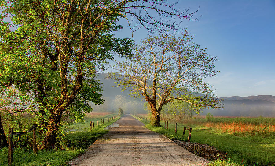 Loveliness of a Cades Cove Morning Photograph by Marcy Wielfaert