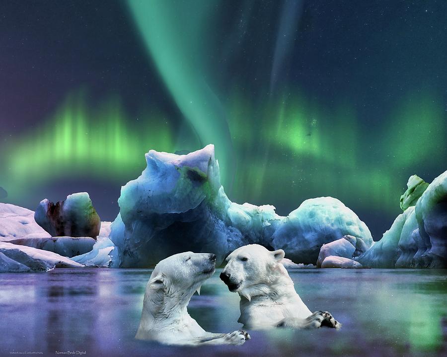 Lovely Arctic Evening Digital Art by Norman Brule