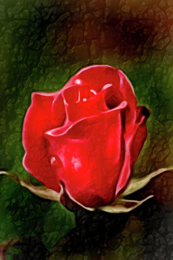 Lovely Artistic 2 Red Rose Photograph by Don Johnson
