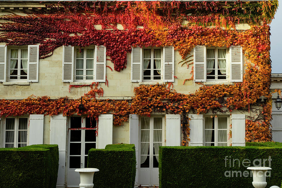 Lovely Autumn Views French Chateau Region The Loire Valley Amboise France Photograph by Wayne Moran