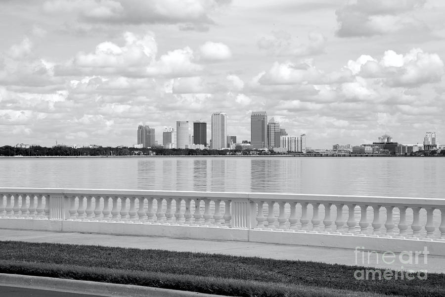 Lovely Bayshore Boulevard Black and White Photograph by Carol Groenen