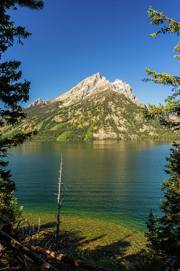 Lovely Blue Green Waters of the Tetons Photograph by Terri Morris