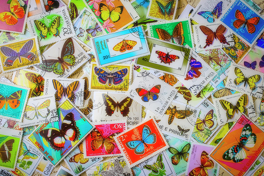 Lovely Butterfly Postage Stamps Photograph by Garry Gay