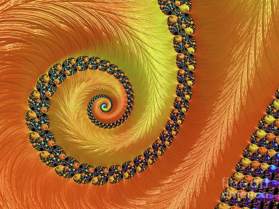 Lovely Golden Spiral Digital Art by Elisabeth Lucas - Fine Art America