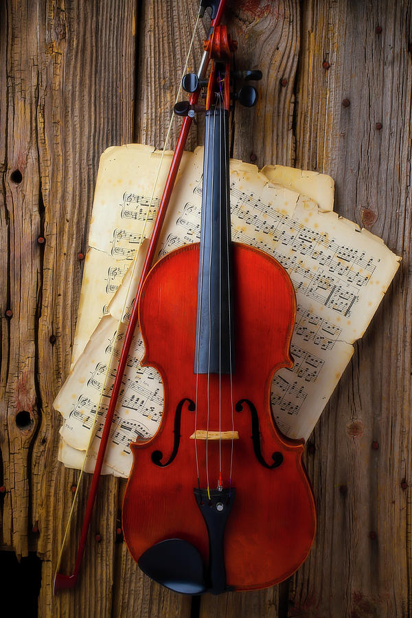 Music Photograph - Lovely Hanging Violin by Garry Gay