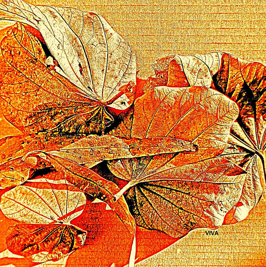 Lovely Leaves - Autumn Color Photograph by VIVA Anderson