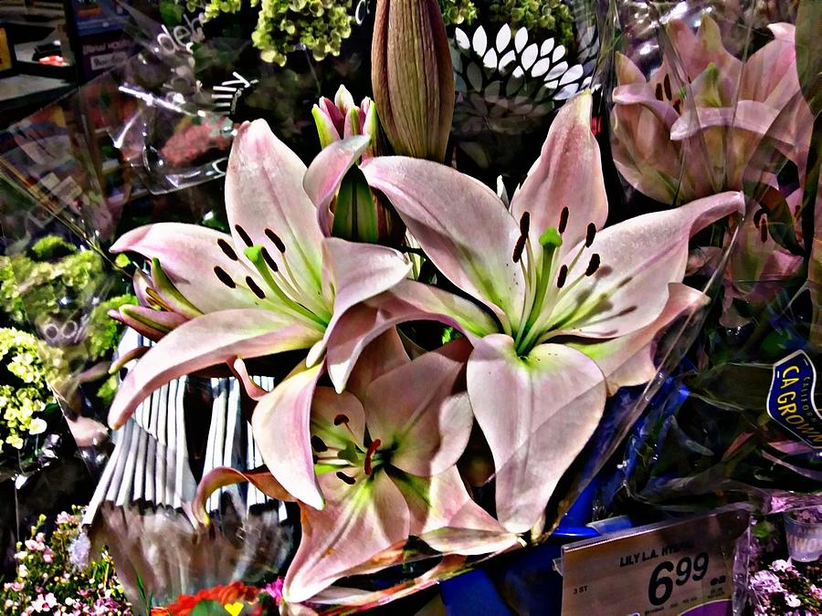 Lovely Lilies Digital Art