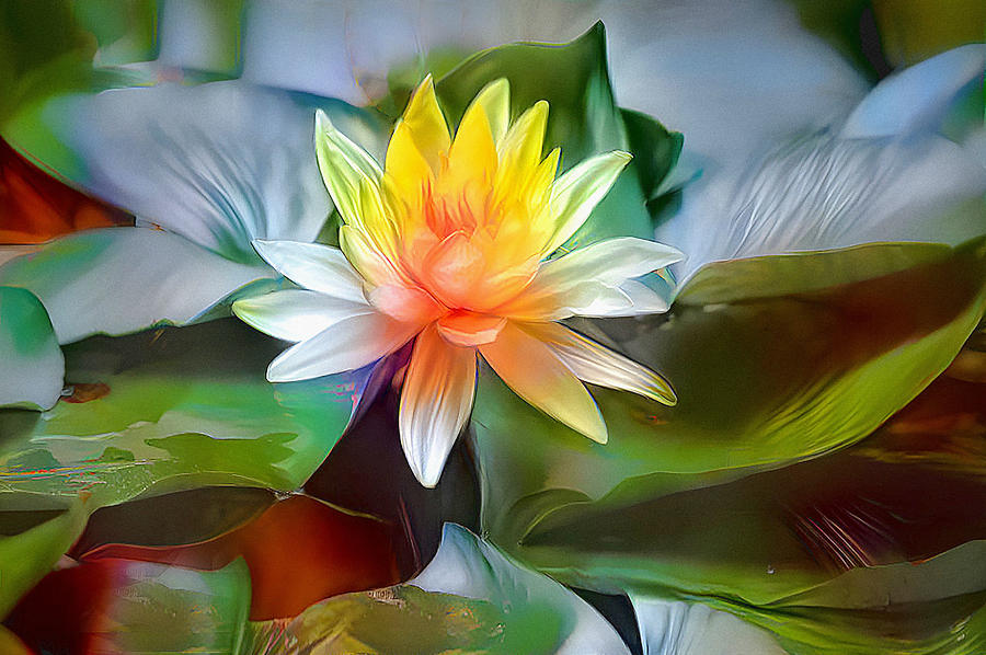Lovely Lily  Art Photograph by Debra Kewley
