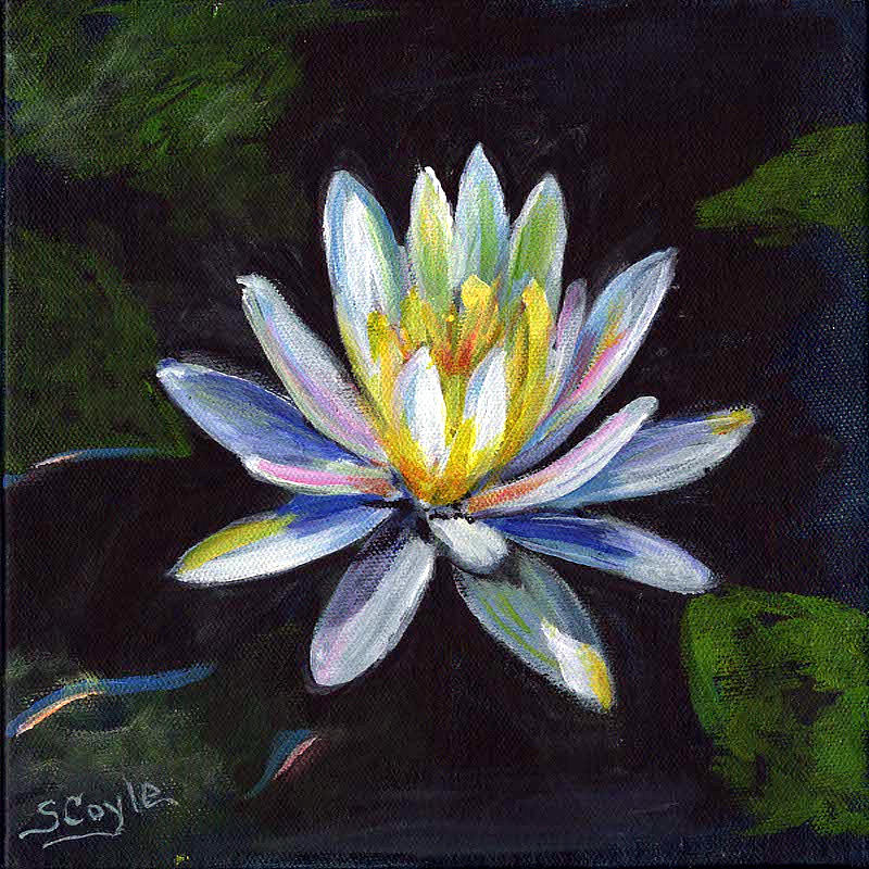 Lovely Lily Painting by Sharon Coyle | Fine Art America