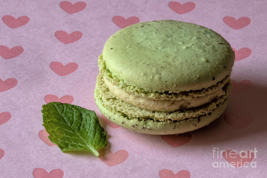 Cookie Photograph - Lovely Peppermint Macaron by Elisabeth Lucas