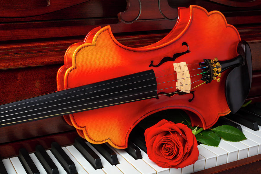 Lovely Rose And Baroque Violin Photograph by Garry Gay - Fine Art America
