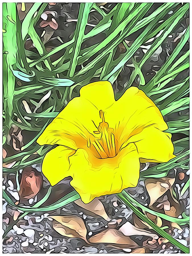 Lovely Yellow Flowers on My Path Digital Art by Barbara Tristan