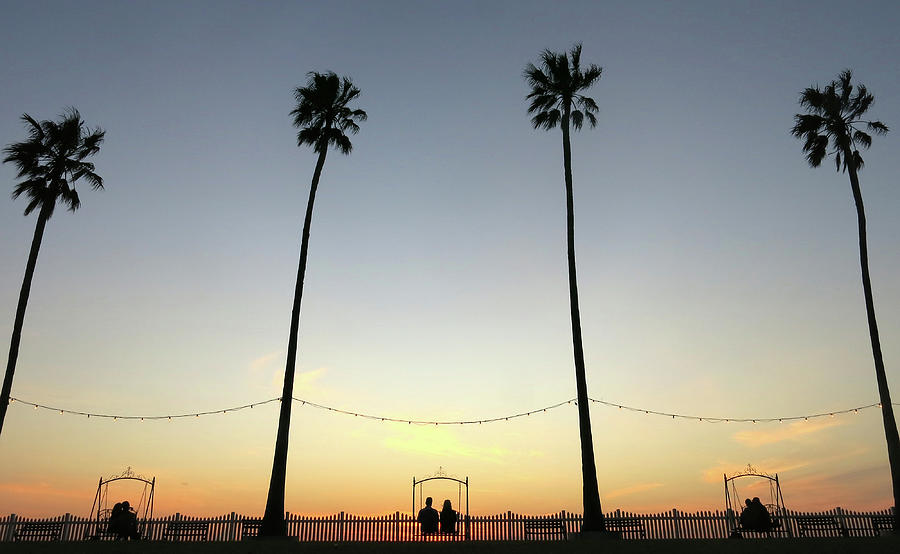 Lovers and palm trees at dusk Photograph by Leigh Henningham