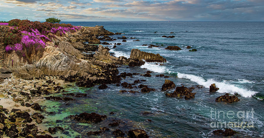 Lovers Point Rocky Coast Photograph by David Levin