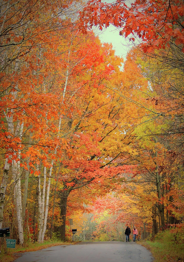 Lovers Walk on a Glorious Autumn Day Photograph by Nancy Griswold