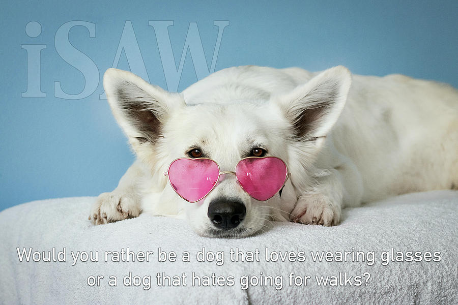 Loves Glasses Hates Walks by ISAW Company Loves Glasses Hates Walks by ISAW Company