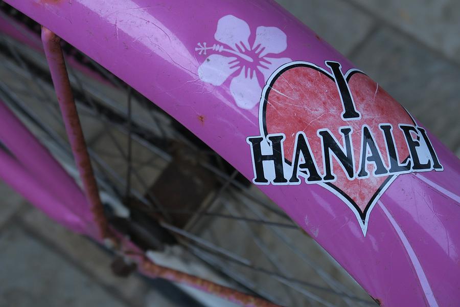 Loving Hanalei Photograph by Doug Davidson