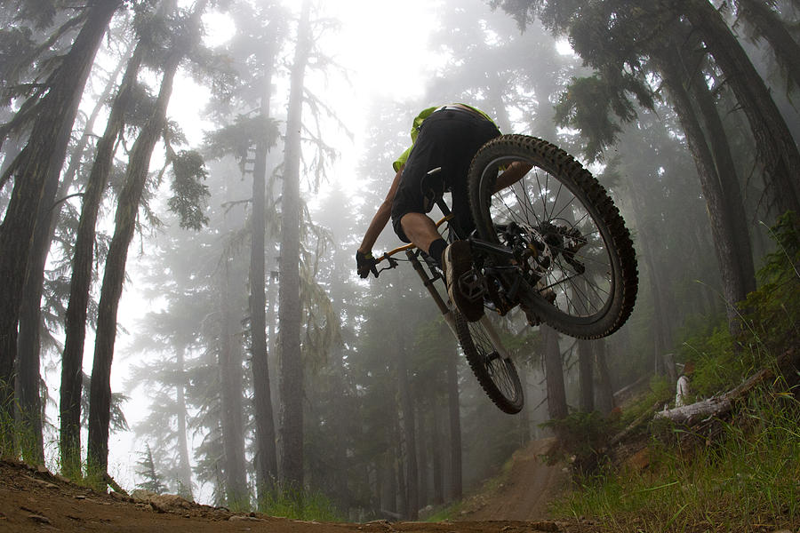 Low angle photo of mountain biker jumping in forest Photograph by GibsonPictures
