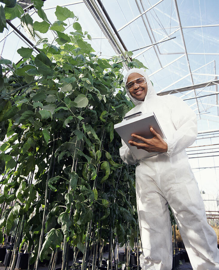 Low Angle Shot of a Scientist Wearing a Clean Suit and Holding a Clipboard, in a Greenhouse Photograph by Noel Hendrickson