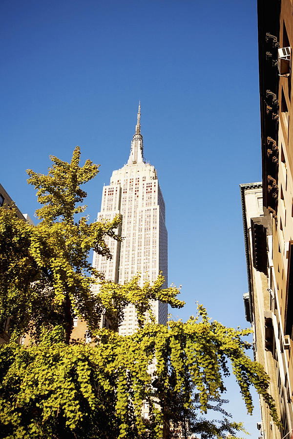 Low angle view of a building, Empire State Building, Manhattan, New York City, New York State, USA Photograph by Glowimages