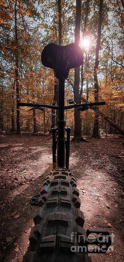 Low angle view of a mountain bike on an autumn trail Photograph by Mendelex Photography