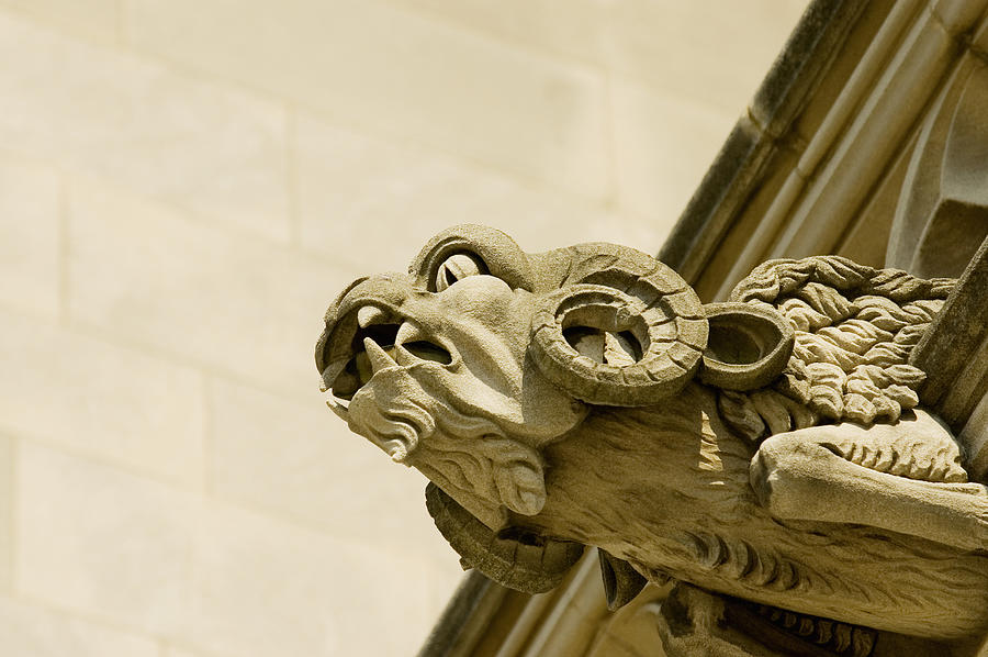 Low angle view of a ram gargoyle, National Cathedral, Washington DC, USA Photograph by Medioimages/Photodisc