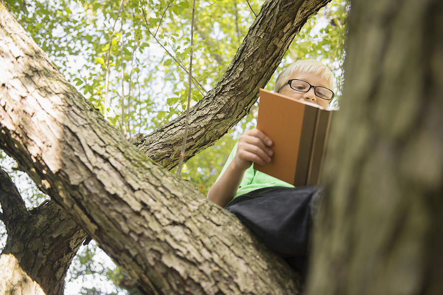 Low angle view of Caucasian boy reading in tree Photograph by JGI/Jamie Grill
