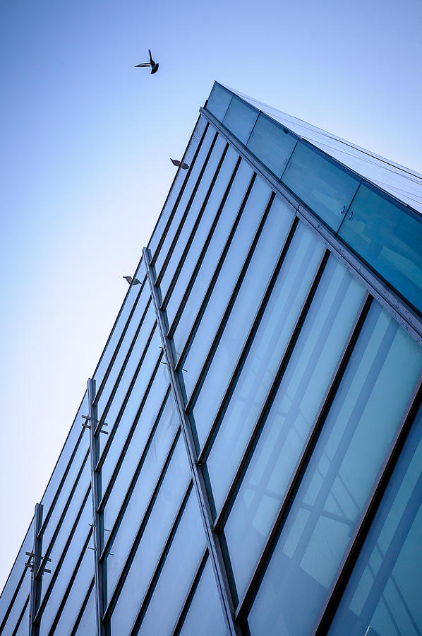Low angle view of office building Photograph by Achim Lammerts