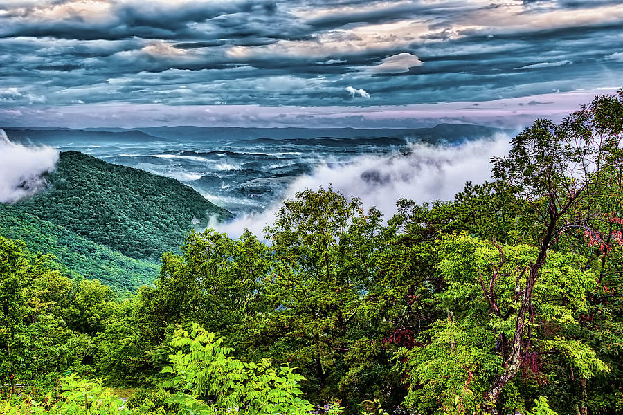 Low Cloud Morning on the Blue Ridge Photograph by Dan Carmichael