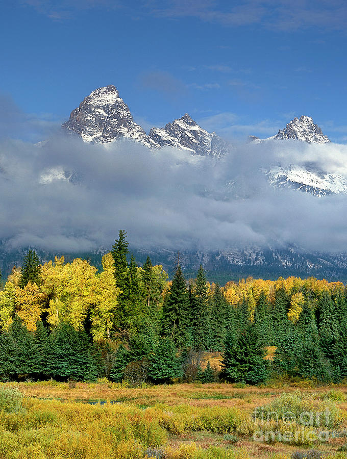 Low Clouds Fall Color Aspens Blacktail Ponds Grand Tetons National Park Wyoming Photograph by Dave Welling