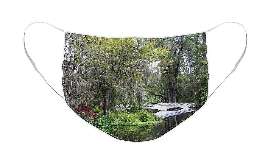 Low Country Springtime Face Mask Photograph by Jerry Griffin