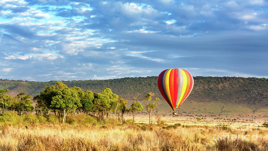 Low flying hot-air balloon in the Masai Mara, Kenya. A popular tourist excursion, shown here above the grasslands in early morning light Photograph by Jane Rix