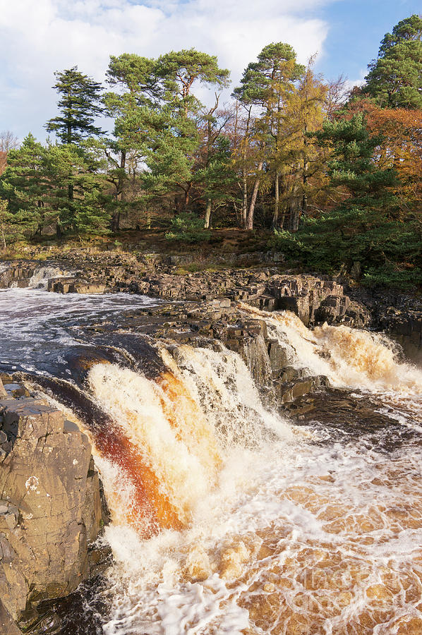 Low Force waterfall, Teesdale Photograph by Bryan Attewell