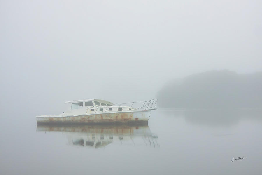 Low Key Misty Morning Photograph by Jurgen Lorenzen