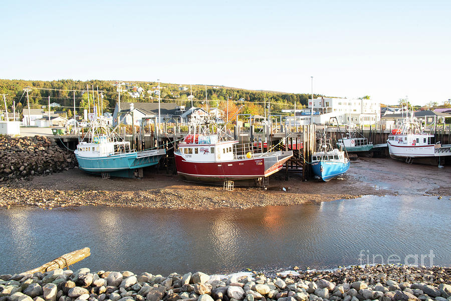 Low Tide at Alma Wharf Photograph by Grace Grogan