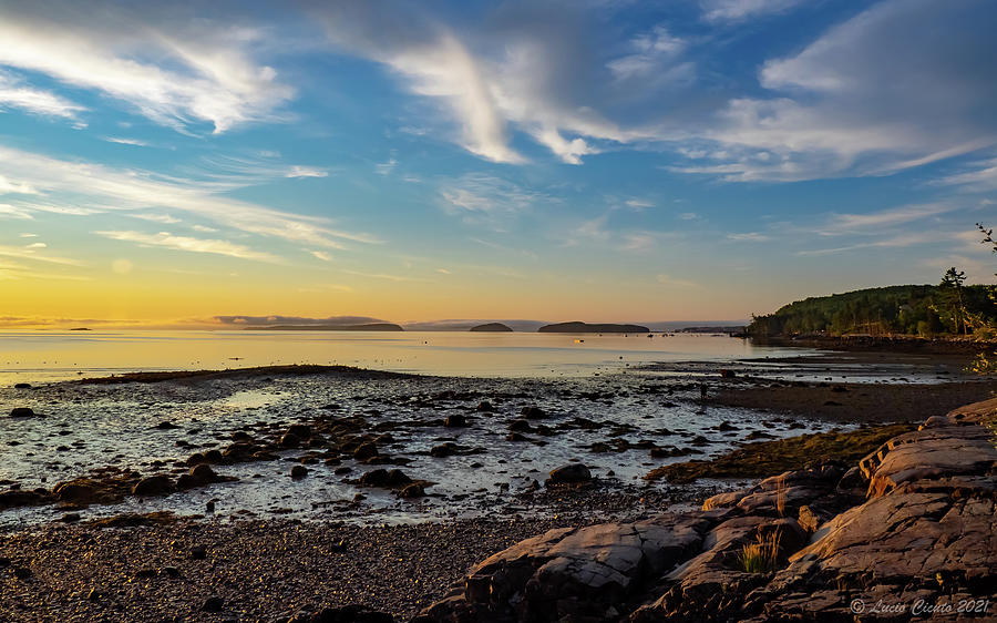 Low Tide At Bar Harbor Maine Sunrise Photograph By Lucio Cicuto Fine   Low Tide At Bar Harbor Maine Sunrise Lucio Cicuto 