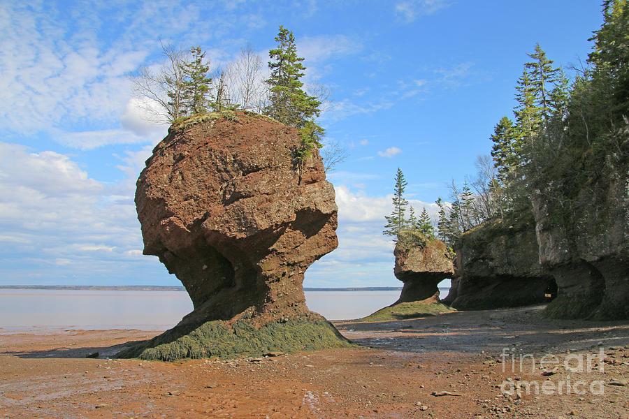 Low Tide at Hopewell Rocks Bay of Fundy NB  5438 Photograph by Jack Schultz