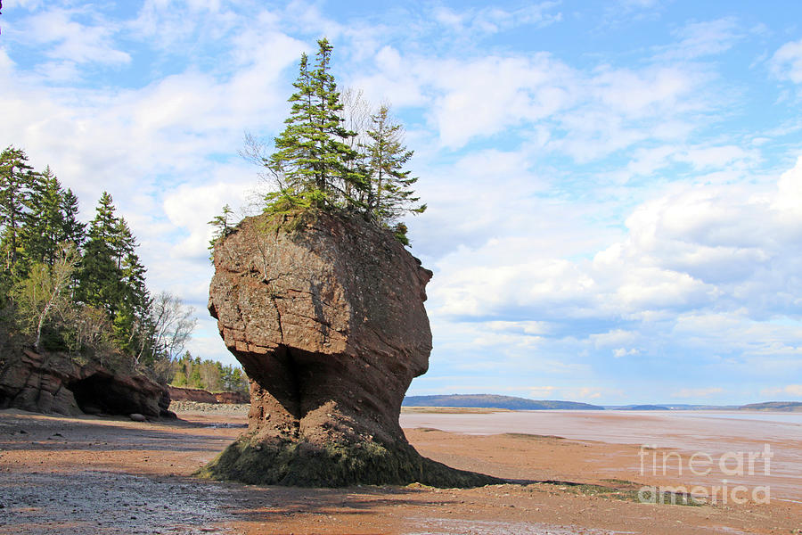 Low Tide at Hopewell Rocks Bay of Fundy NB  5440 Photograph by Jack Schultz