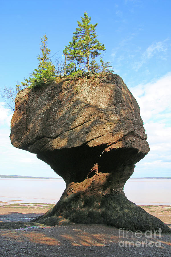 Low Tide at Hopewell Rocks Bay of Fundy NB  5443 Photograph by Jack Schultz