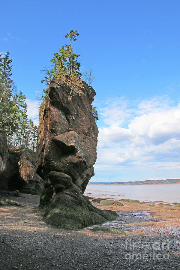 Low Tide at Hopewell Rocks Bay of Fundy NB  5445 Photograph by Jack Schultz