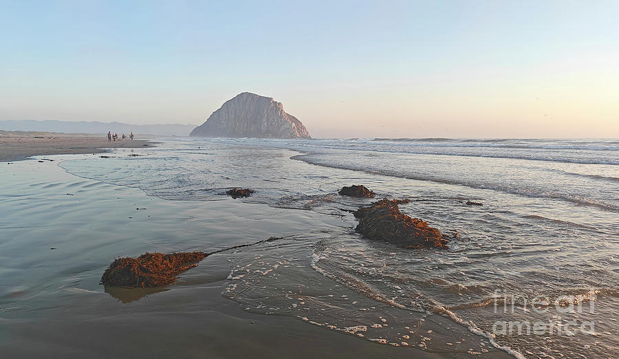 Low tide at morro Bay Beach Photograph by Michael Rock