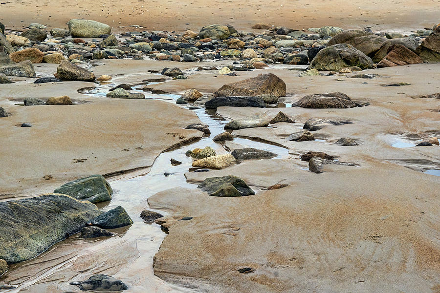 Low Tide at Plum Island - Sandy Point Beach Photograph by Nikolyn McDonald