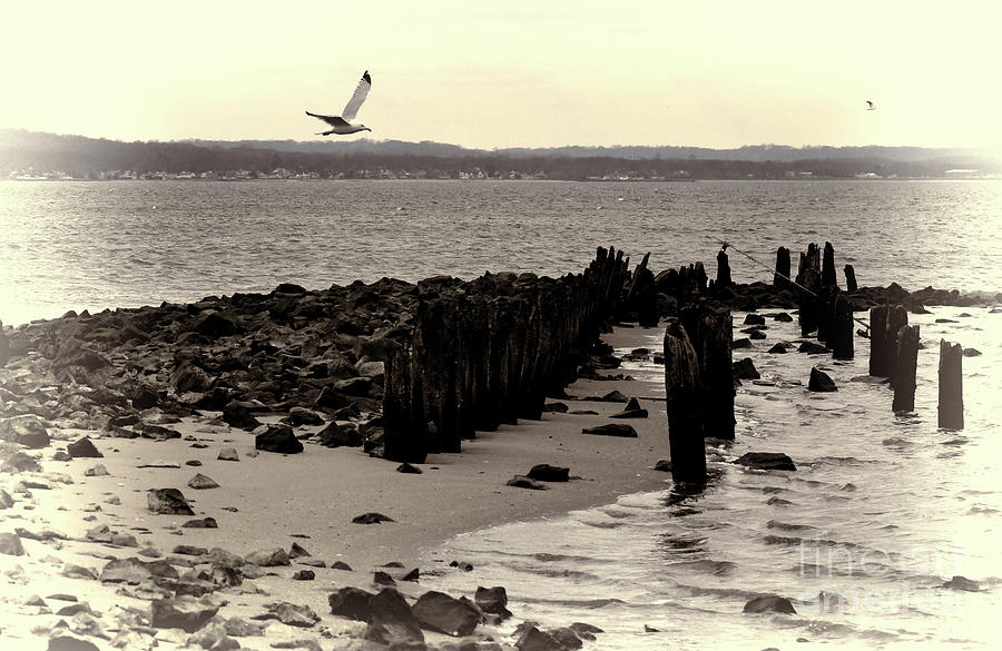 Low Tide at the Jersey Shore artistic Photograph by Paul Ward