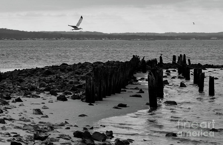 Low Tide at the Jersey Shore black and white Photograph by Paul Ward