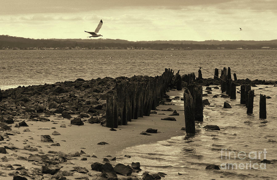 Low Tide at the Jersey Shore sepia Photograph by Paul Ward