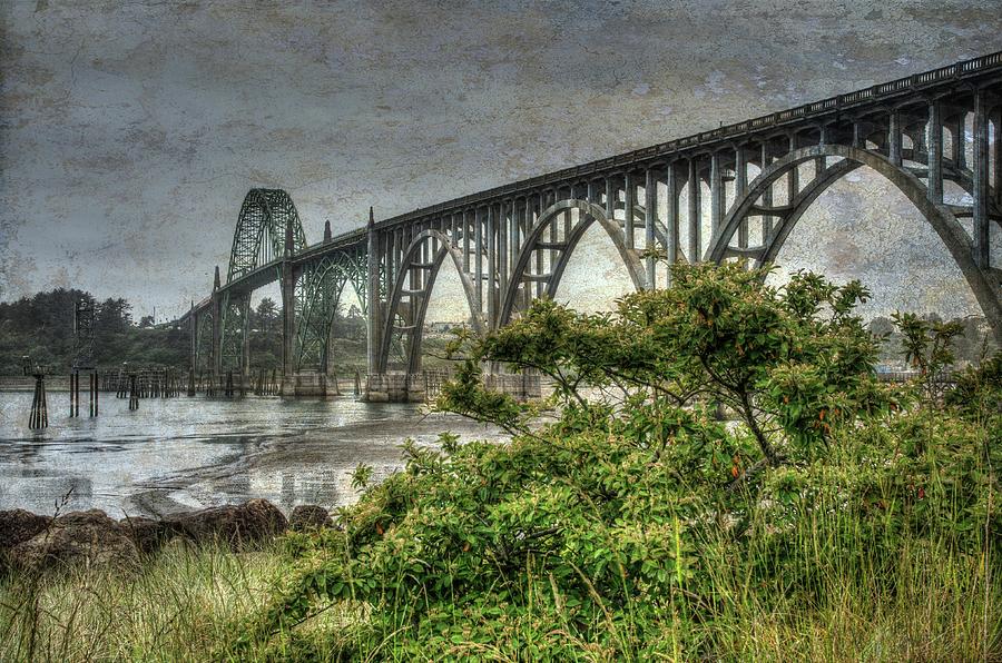 Low Tide At The Yaquina Bay Bridge Photograph by Thom Zehrfeld