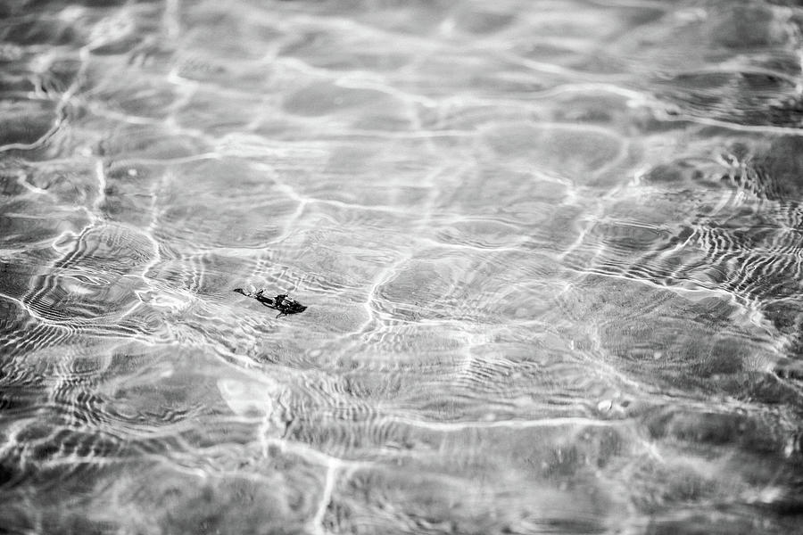 Low Tide Beach Texture 7 Photograph By Henriette Van Staden 