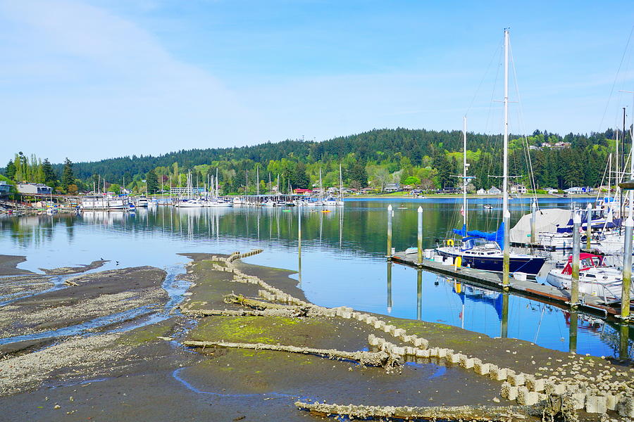 Low Tide Photograph by Bill TALICH